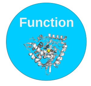 Function: Gene and Protein Function Annotation