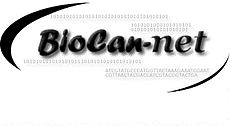 BIOCANET: Central American Network of Bioinformatics and Molecular Biocomputing
