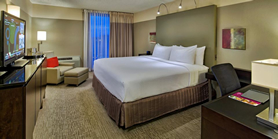 Crowne Plaza Chicago Metro Hotel