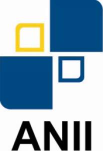ANII Logo