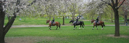 Boston Common