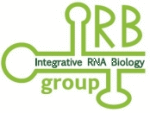 IRB-Group