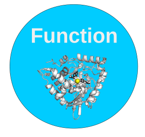 Function: Protein Function Annotation